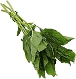 Organic Basil, .75 oz Clamshell