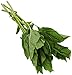 Organic Basil, 0.75 Oz