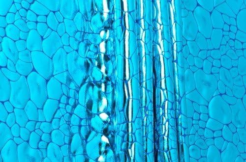 Pattern/abstract Metallic Hologram Turquoise Fabric 60" Wide By the Yard