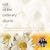 Out of the Ordinary: Chants: A Companion Resource to the Book Out of the Ordinary Prayers, Poems, and Reflections for Every Season