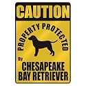 CAUTION " PROPERTY PROTECTED BY CHESAPEAKE BAY RETRIEVER " PARKING SIGN DOG