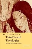 An Introduction to Third World Theologies (Introduction to Religion)