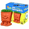 Chia SpongeBob Handmade Decorative Planter