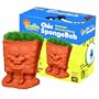 Chia SpongeBob Handmade Decorative Planter