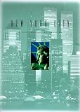 New York City: A Photographic Celebration