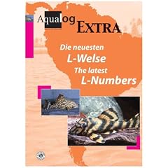 Die neuesten L-Welse