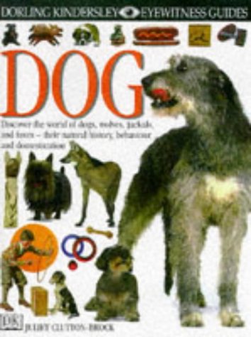 Animals and Evolution