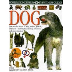 Dog (Eyewitness Guides)