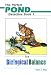 Book Biological Balance (Perfect Pond Detective Series Volume 1)