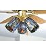 4W Rosebush Fan Light Shade