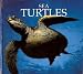 Sea Turtles (Naturebooks Underwater Life)