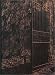 Books : At Dusk Iridescent: A Gathering Of Poems (1972-1997)