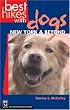 Best Hikes With Dogs: New York City & Beyond