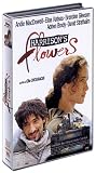 Revue Warner Vision France  / Harrison's Flowers