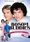 Bosom Buddies: First Season