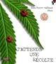 J'attends une récolte