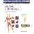 Anatomie-physiologie pour les soins infirmiers