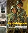 Sturmtruppen: �sterreichisch-ungarische Sturmformationen und Jagdkommandos im Ersten Weltkrieg