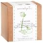 SerendipiTea Genesis, Organic Apple, Mango, Hibiscus, Rose HIps & China Green Tea, 4-Ounce Boxes (Pack of 2)