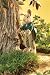 Folkmanis 2542 - Brer Rabbit