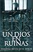 Book Un dios en ruinas
