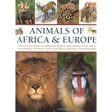 animals of africa and europe a visual encyclopedia of amphibians reptiles and mammals in the asian and australasian