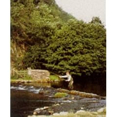 Trout and the Sub-surface Fly