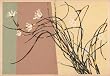 Korin Furuya, Patterns of Plants and Flowers from Nature
