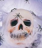 ���ѥ����� ������ �ۥ磻�� Spider Webs - White / 2326