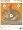 Champion Animal Paper Squirrels Target - Pack of 12 (Large)