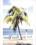 Photographic Prints of Palm tree and woman in white dress, Punta Gorda, Cienfuegos, Cuba, West Indies, from Robert Harding 51AJpF0E66L. SL160 Photographic Prints of Palm tree and woman in white dress, Punta Gorda, Cienfuegos, Cuba, West Indies, from Robert Harding