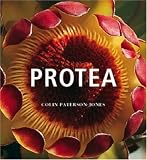 : Protea
