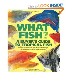 What Fish?: A Buyer's Guide to Tropical Fish