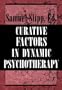 Curative Factors in Dynamic Psychotherapy (The Master Work Series)
