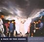 A Face in the Crowd: Expressions of Gay Life in America