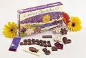 Gondwana Creative Chocolates Kit