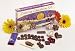 Gondwana Creative Chocolates Kit