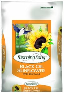 Morning Song 1022027 Black Oil Sunflower, 20-Pound