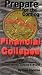 Prepare for the Coming Financial Collapse [VHS]