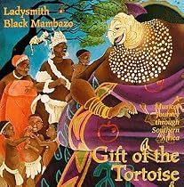 Gift Of The Tortoise: A Musical Journey Through Southern Africa