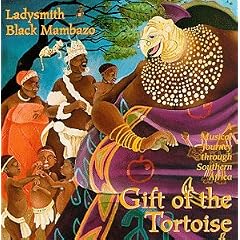 Gift Of The Tortoise: A Musical Journey Through Southern Africa