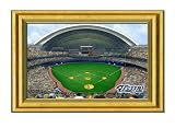 Toronto Blue Jays Rogers Centre Stadium Large Picture