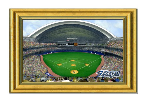 Toronto Blue Jays Rogers Centre Stadium Large Picture