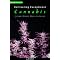 Medical and Religious Marijuana Cultivation