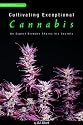 Cultivating Exceptional Cannabis: An Expert Breeder Shares His Secrets (Marijuana Tips Series)