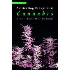 Cultivating Exceptional Cannabis: An Expert Breeder Shares His Secrets (Marijuana Tips Series)