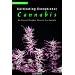 Cultivating Exceptional Cannabis: An Expert Breeder Shares His Secrets (Marijuana Tips Series)