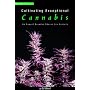 Cultivating Exceptional Cannabis: An Expert Breeder Shares His Secrets (Marijuana Tips Series)