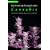 Cultivating Exceptional Cannabis: An Expert Breeder Shares His Secrets (Marijuana Tips Series)