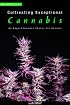 Cultivating Exceptional Cannabis: An Expert Breeder Shares His Secrets (Marijuana Tips Series)